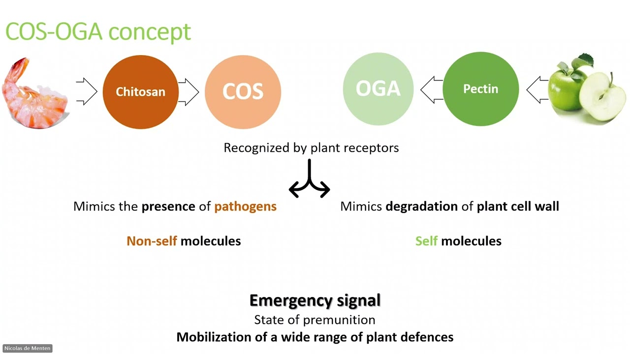 Webinar on FytoSave®: Natural Defense for Plants