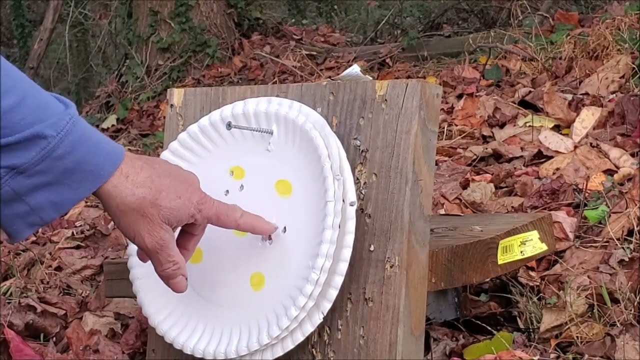 Plinking With Hatsan MOD 65