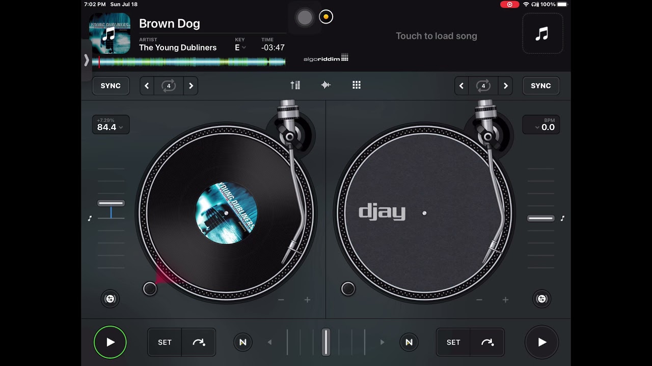 Brown Dog tuned up