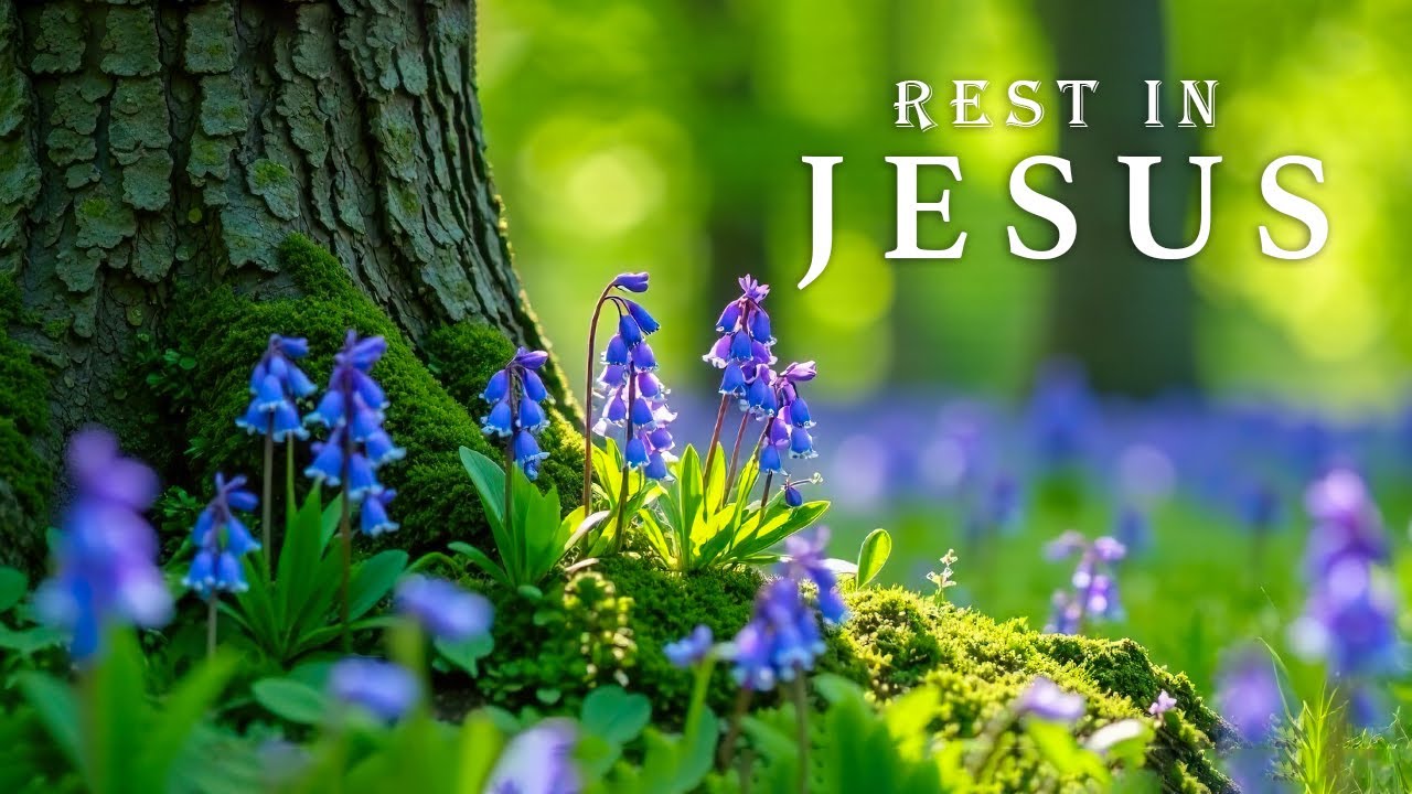 REST IN JESUS | Calming Scriptures with Soft Gospel Piano | Christian Harmonies
