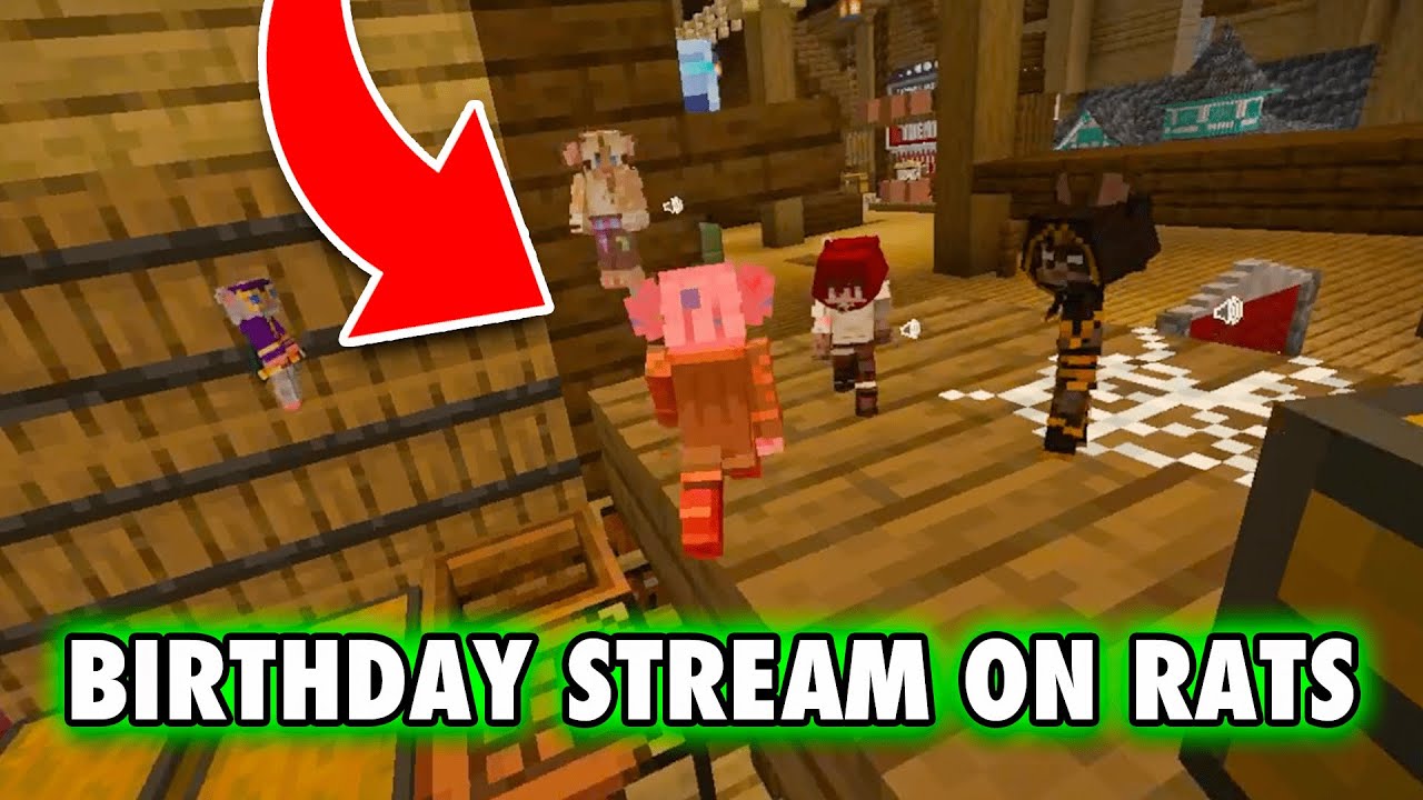 My BIRTHDAY On RATS SMP?!