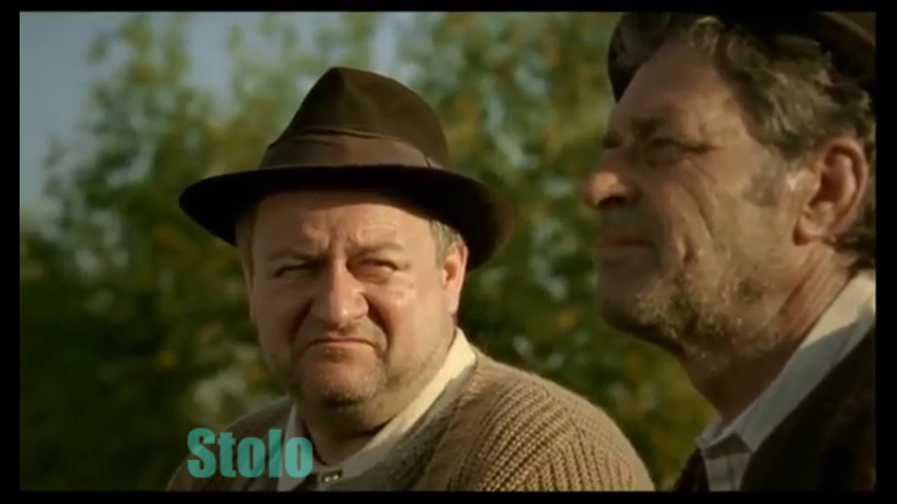 Niste tarani complet