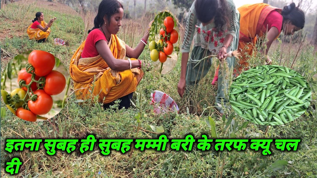 FARMER LIFE ##Rupu family vlog #Daily vlog 