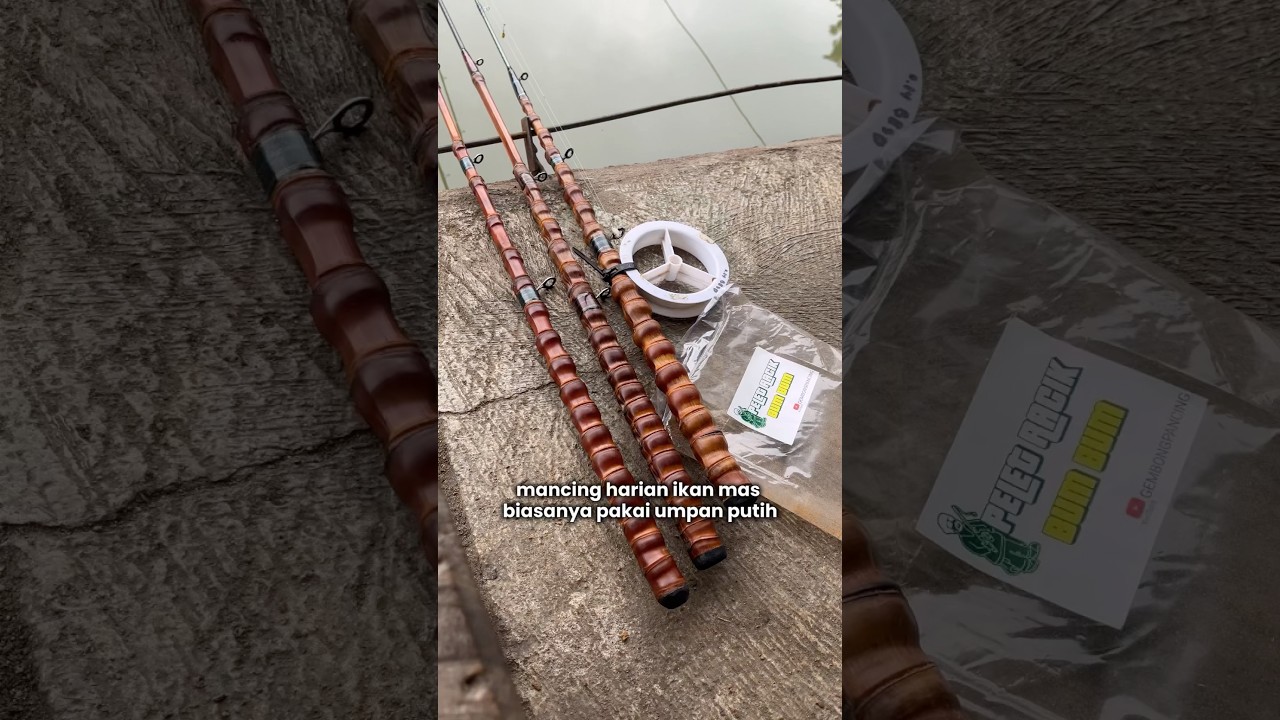 Harian Ikan Mas Tanpa Kroto ⁉️