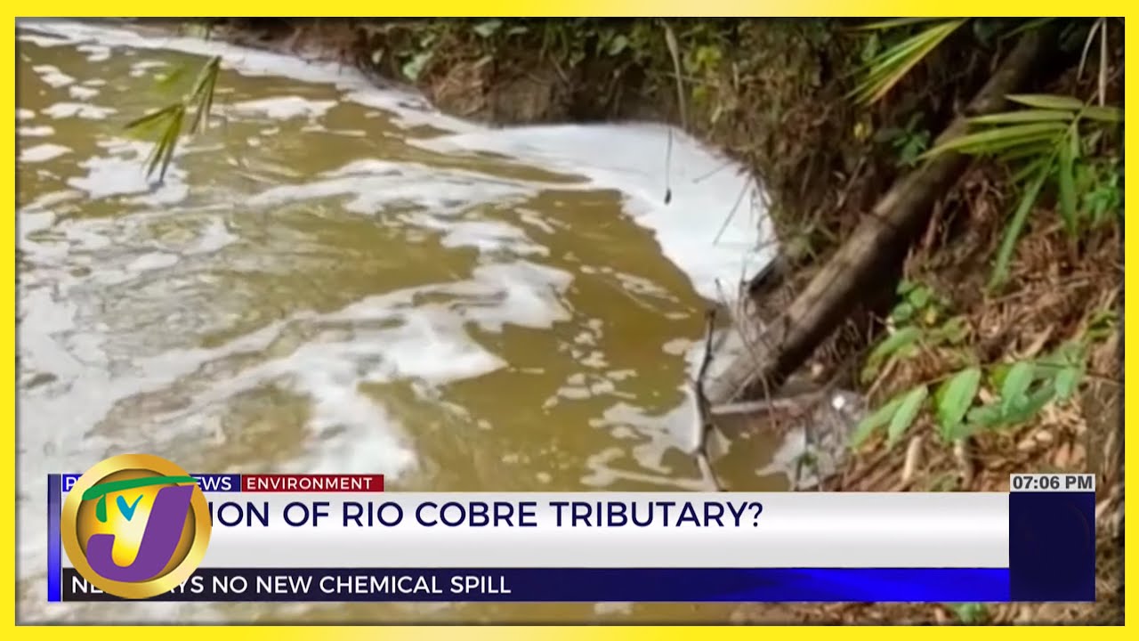 Pollution of Rio Cobre Tributary? TVJ News - Aug 23 2022