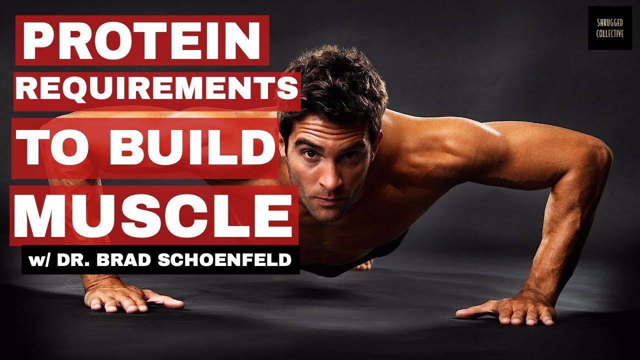 How Much Protein To Gain Muscle w/ Dr. Brad Schoenfeld