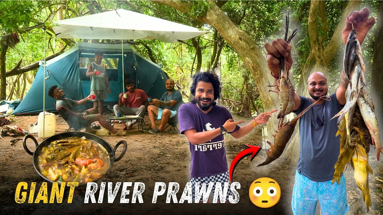 FLOOD CAMPING PART 2- We Caught Massive Giant River Prawns! @TRIPTHEWILD