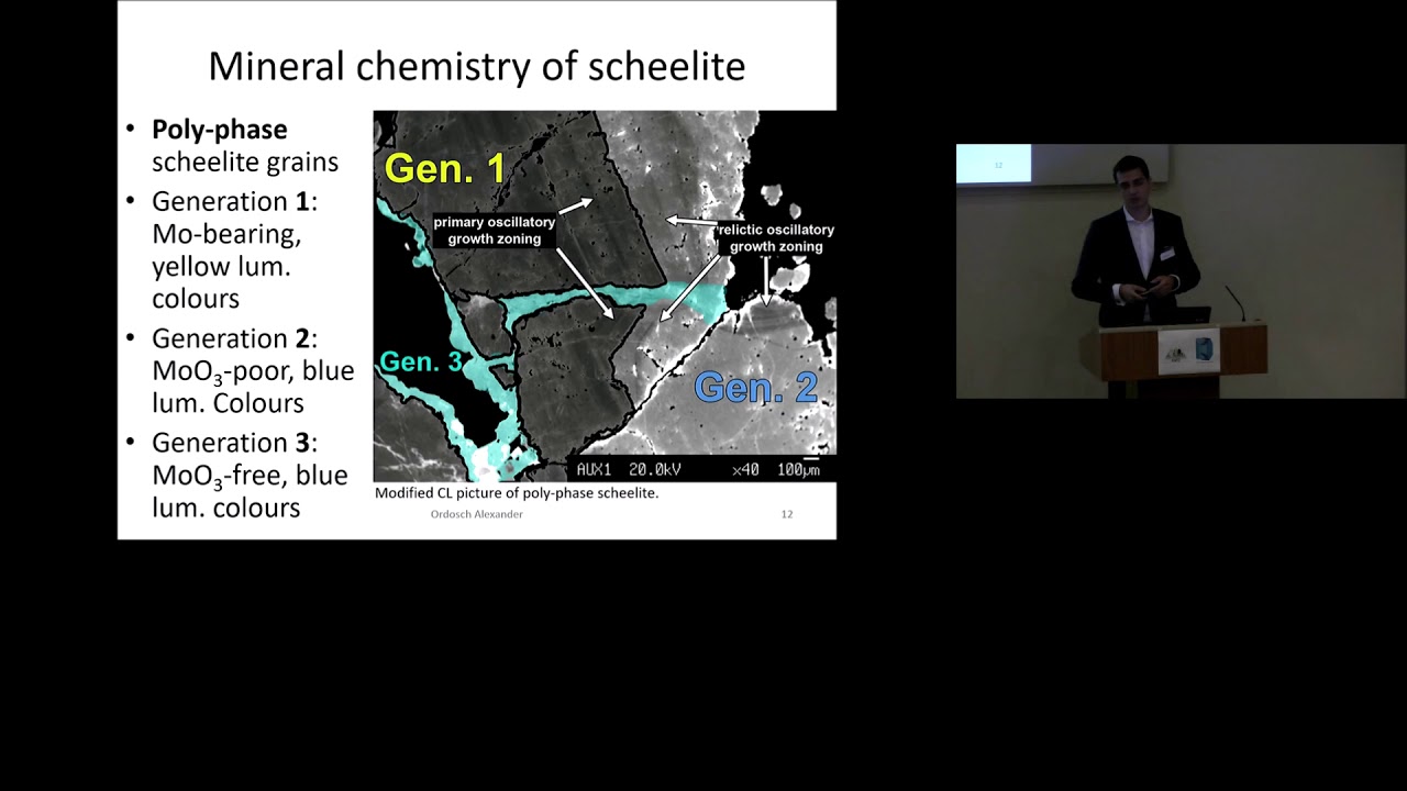 William Smith 2018: High-grade W-(Sn) skarn mineralisation close to the Felbertal mine
