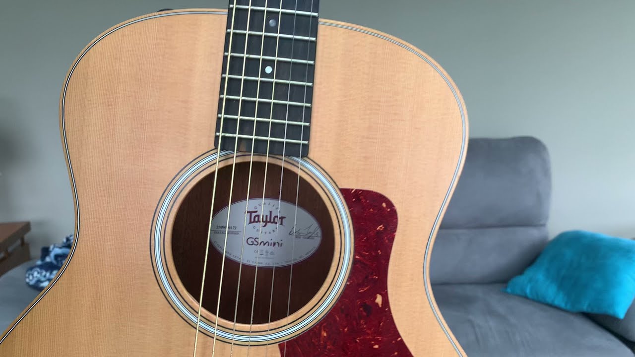 Why Every Guitar Player NEEDS  a Taylor GS Mini!