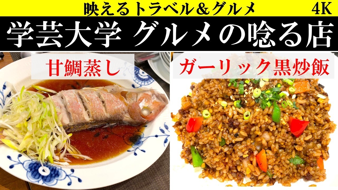 4K【世界で最もクール‼】学芸大学 グルメの唸る店！