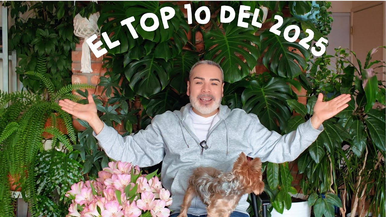 Mi Top 10 de Plantas 2025 | Cuál es tu favorita?