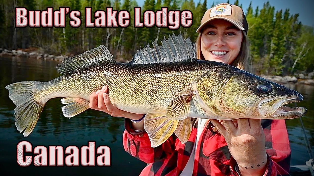 Babe Winkelman Fishing Canada for HUGE Walleye | Budd's Gunisao Lake Lodge Manitoba Canada - Part 1