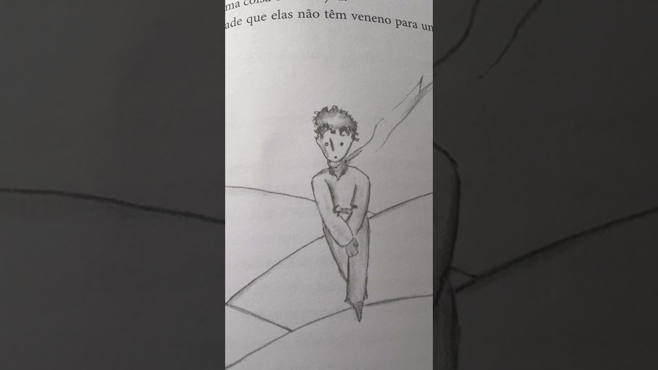 O Pequeno Principe - final
