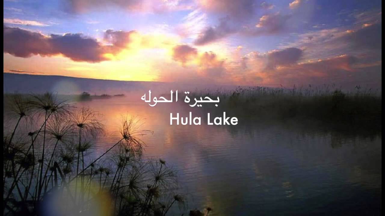 حيفا ... Haifa