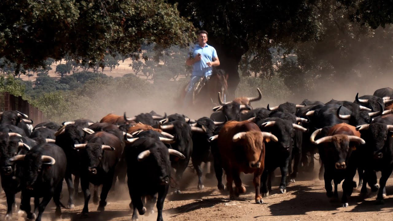 ADRECAG Campo Charro