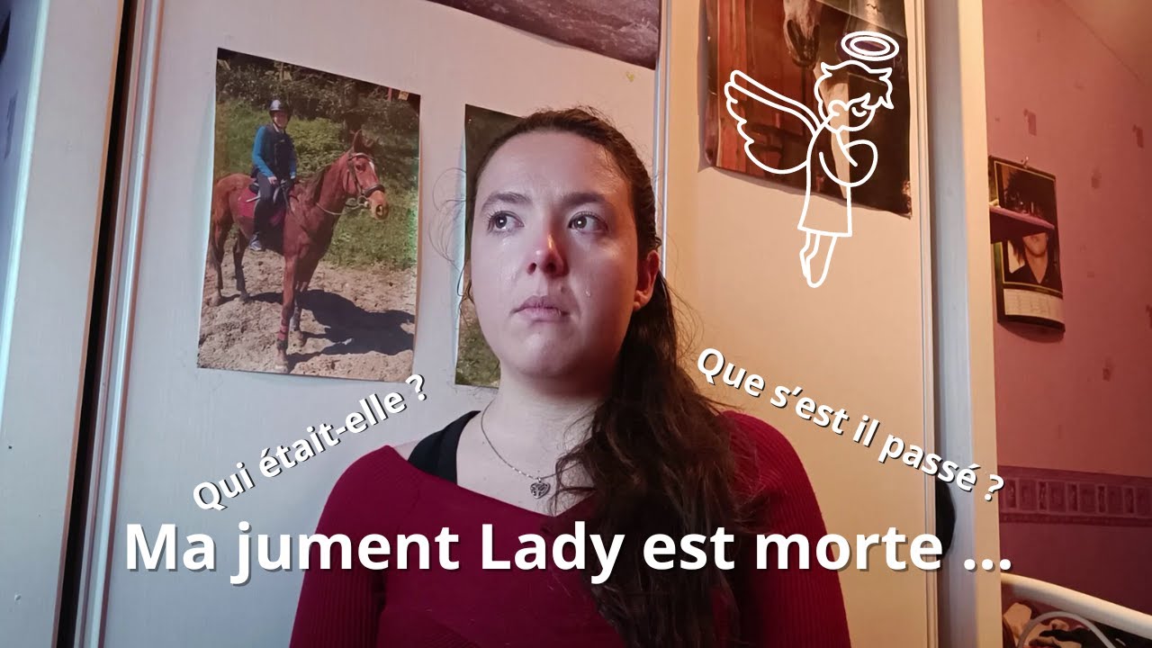 Ma jument Lady est morte ... Qui était elle ? Que s'est il passé ?