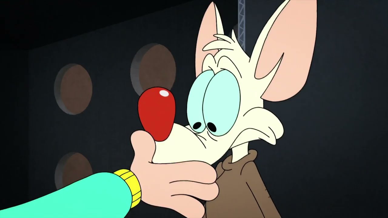 Pinky and the Brain - Furry