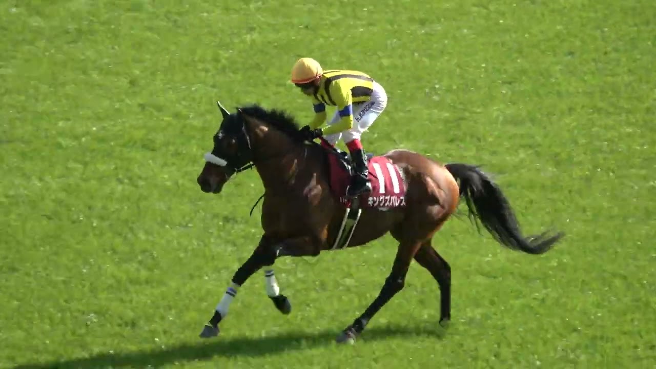 【金鯱賞2026】本馬場入場 現地映像 シェイクユアハート