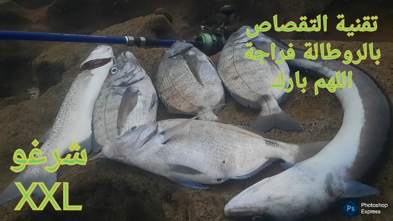 تحدي الصيد بالتقصاص فمصايد ماسة(الحزء التالت)