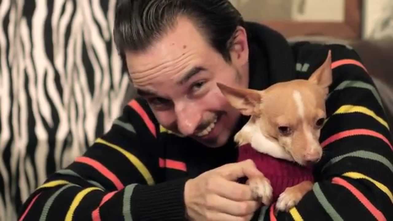 WYLDLIFE - (IT'S CALLED) ROCK 'N' ROLL