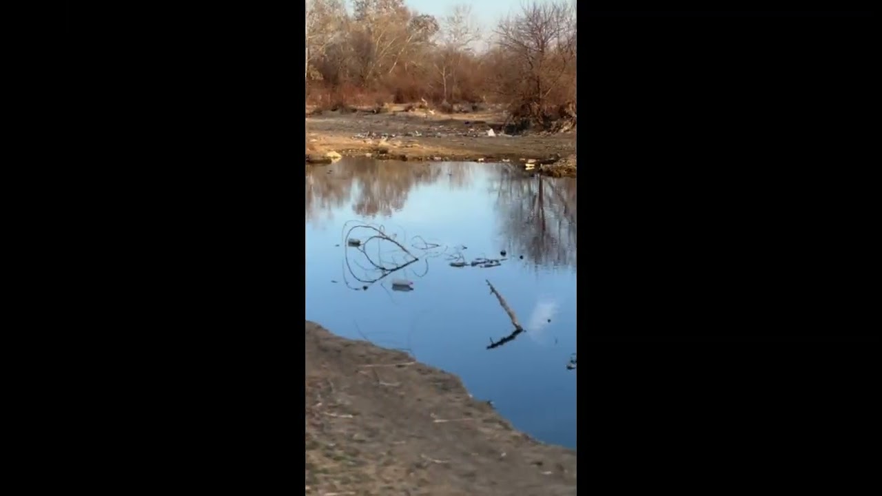 Fish vlog part2