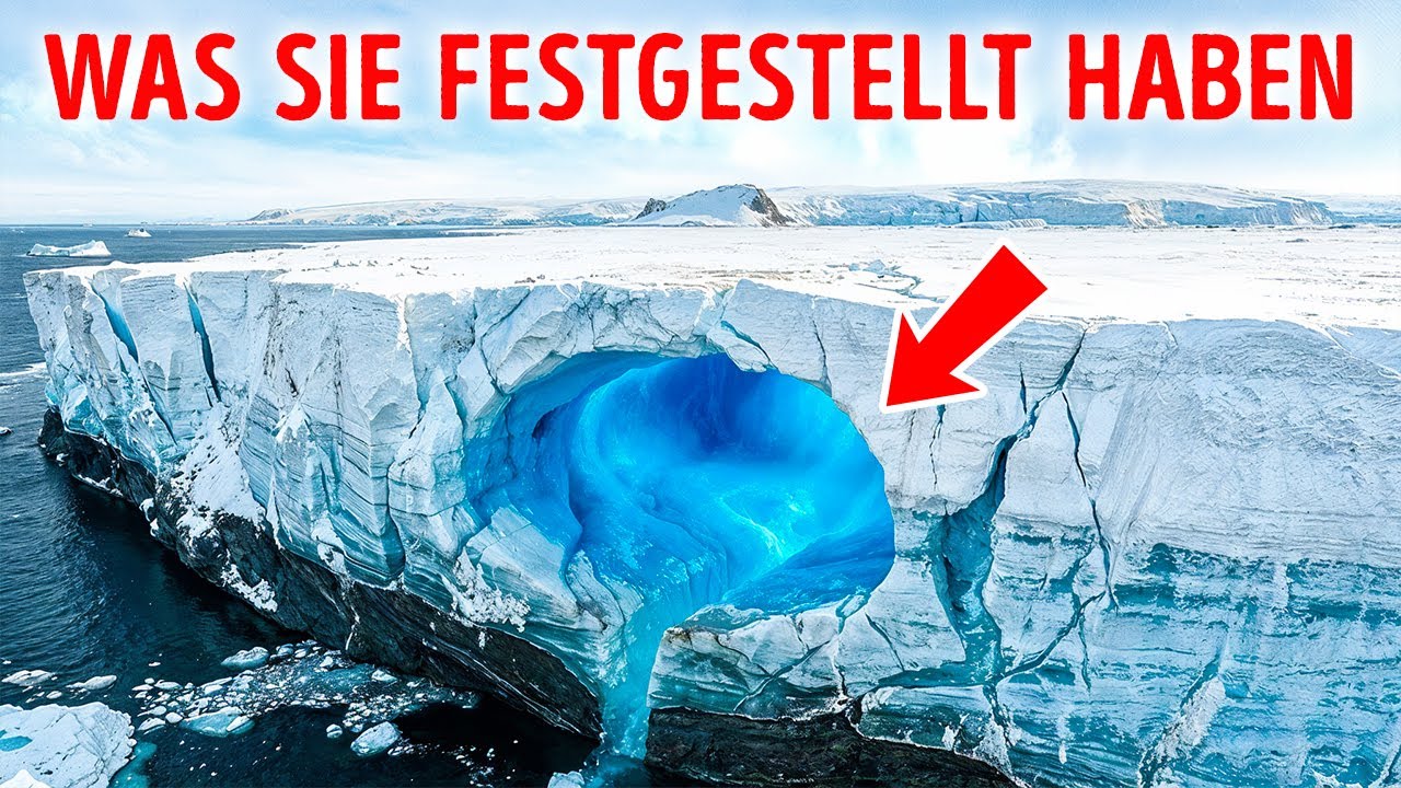 Dieser Fund in der Antarktis verändert unser Wissen über das Leben auf der Erde