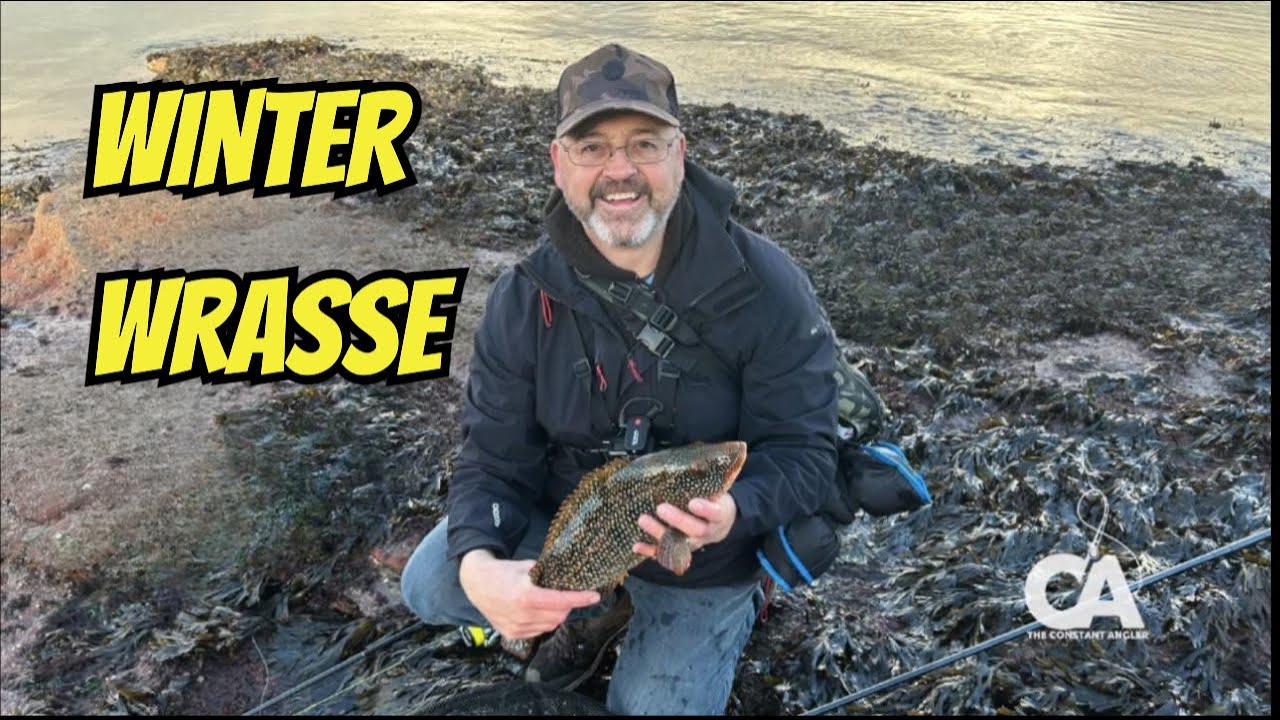 The Shocking Truth About Winter Wrasse Fishing with Lures