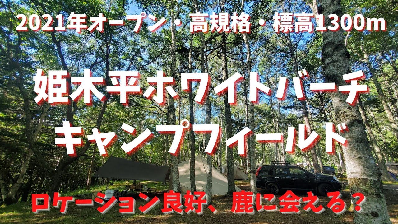 姫木平ホワイトバーチキャンプフィールド、白樺に囲まれたロケーションの良い高規格なキャンプサイトを紹介【キャンプ場紹介】