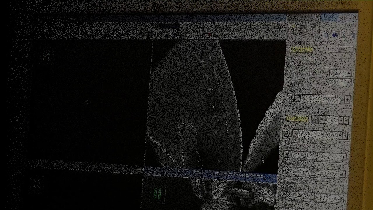 Scanning Electron Microscope EDX