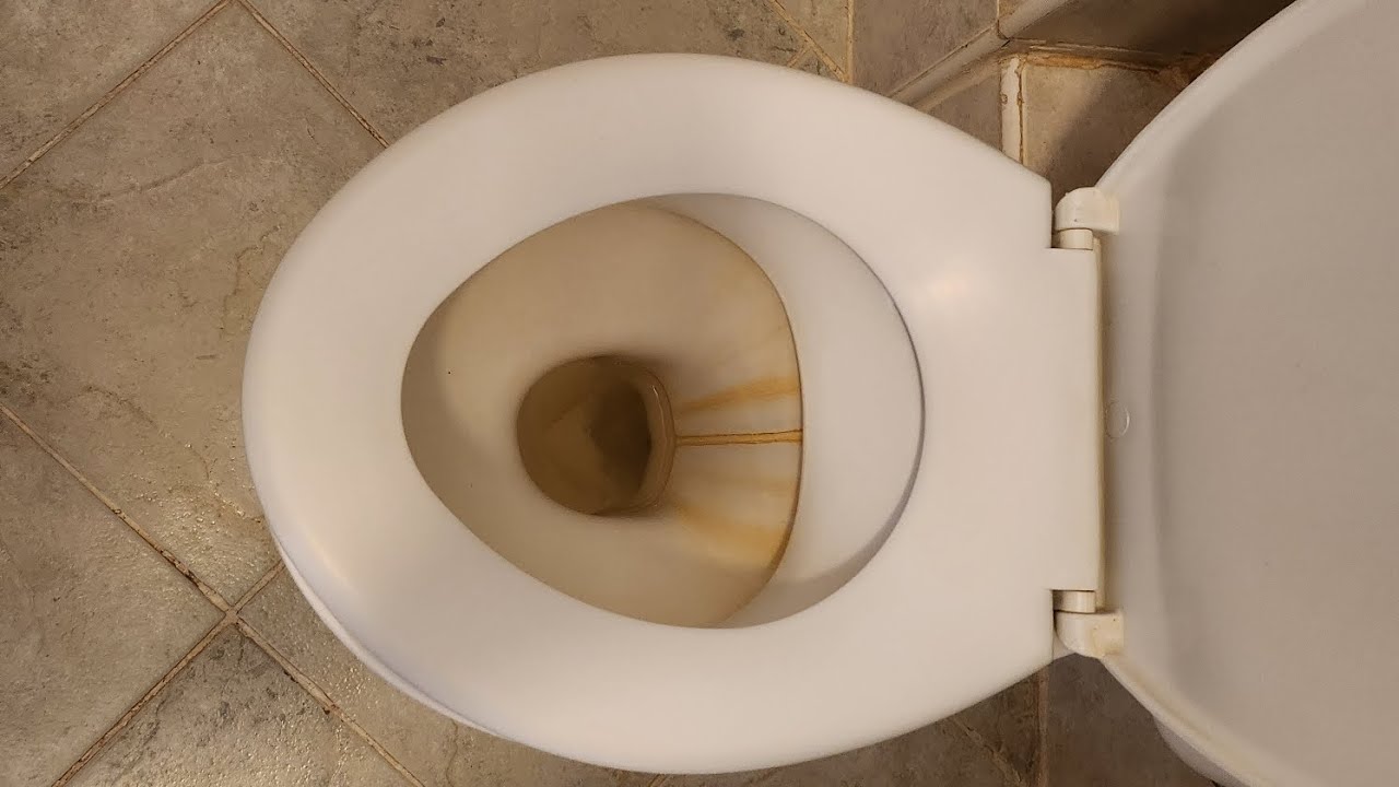 Toilet cleaning great results
