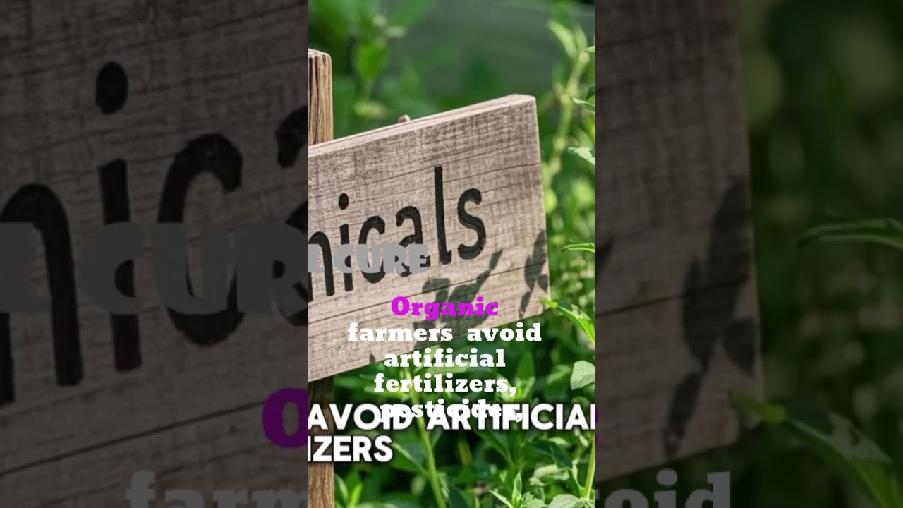 The Benefits of Organic Herbs