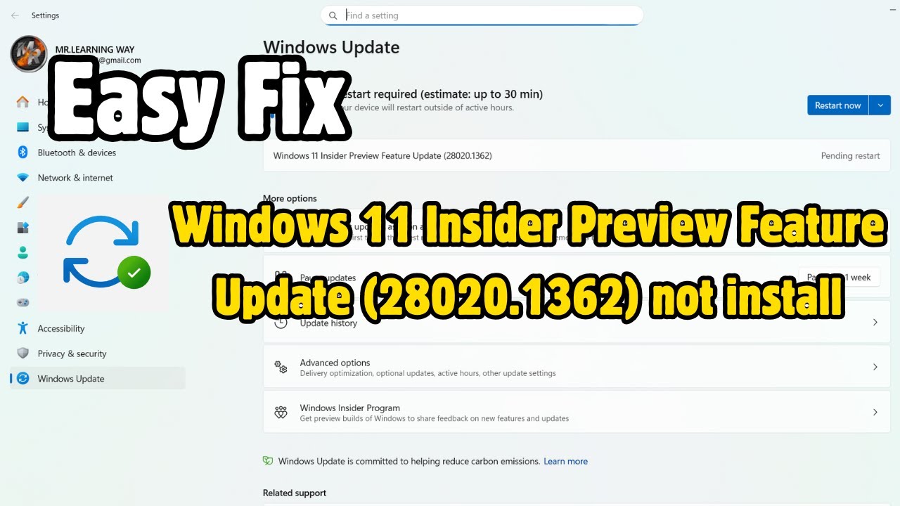 Fix Windows 11 Insider Preview Feature Update (28020.1362) not install