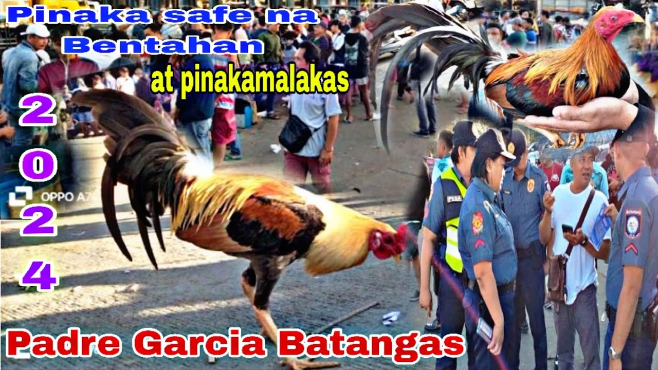 PinakaMALAKAS na BENTAHAN Ng MANOK sa Probinsya Ng BATANGAS... padre Garcia batangas.. Feb.. 2024