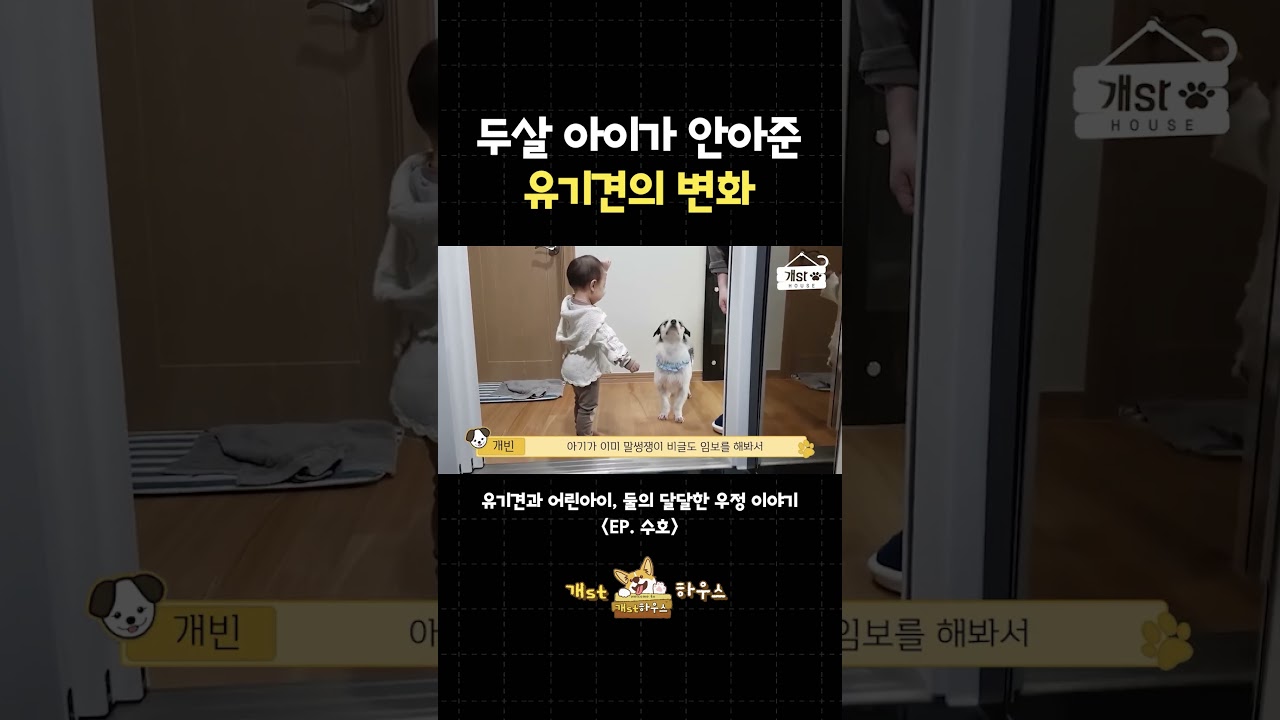 [EN] 두살 아이가 안아준 유기견의 변화 #Shorts