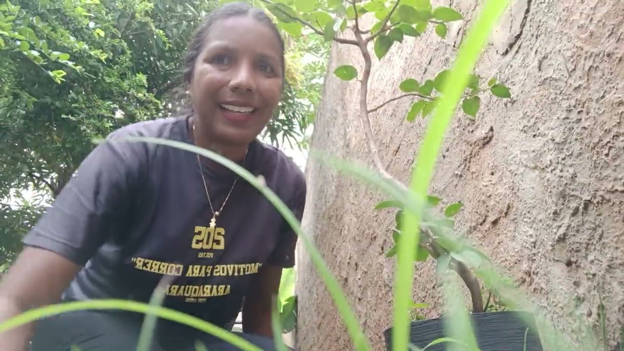 VIDA NA ROÇA PARTE I - PLANTANDO ARVORE NO MEU QUINTAL 