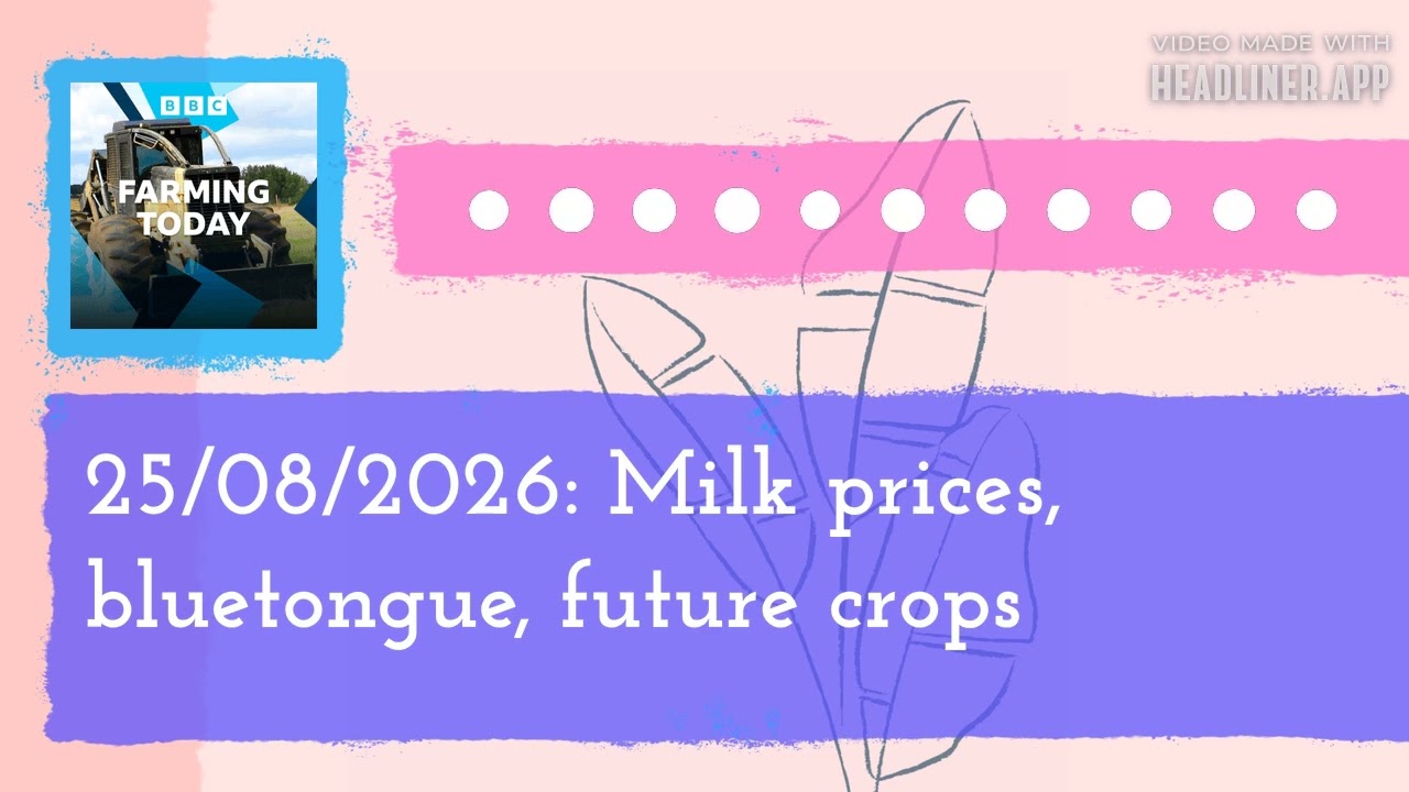 25/08/2026: Milk prices, bluetongue, future crops | Farming Today