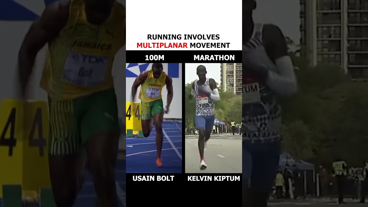 Biomechanics: Front View of the BEST Sprinter and Marathon Runner