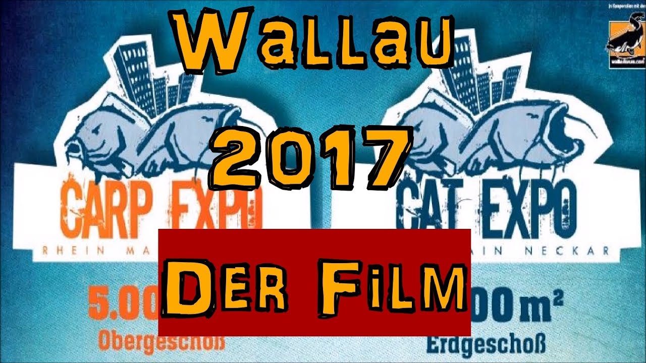Carp + Cat Expo Wallau - DER FILM