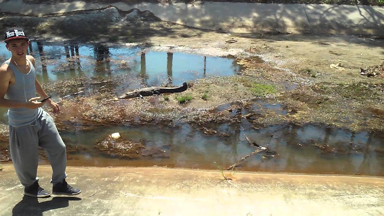Gator spotting...Just a typical day in Florida
