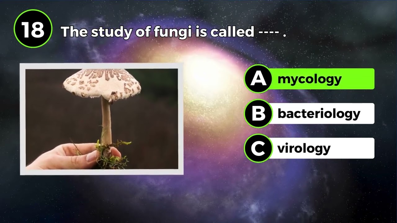 General Knowledge Trivia Quiz #17