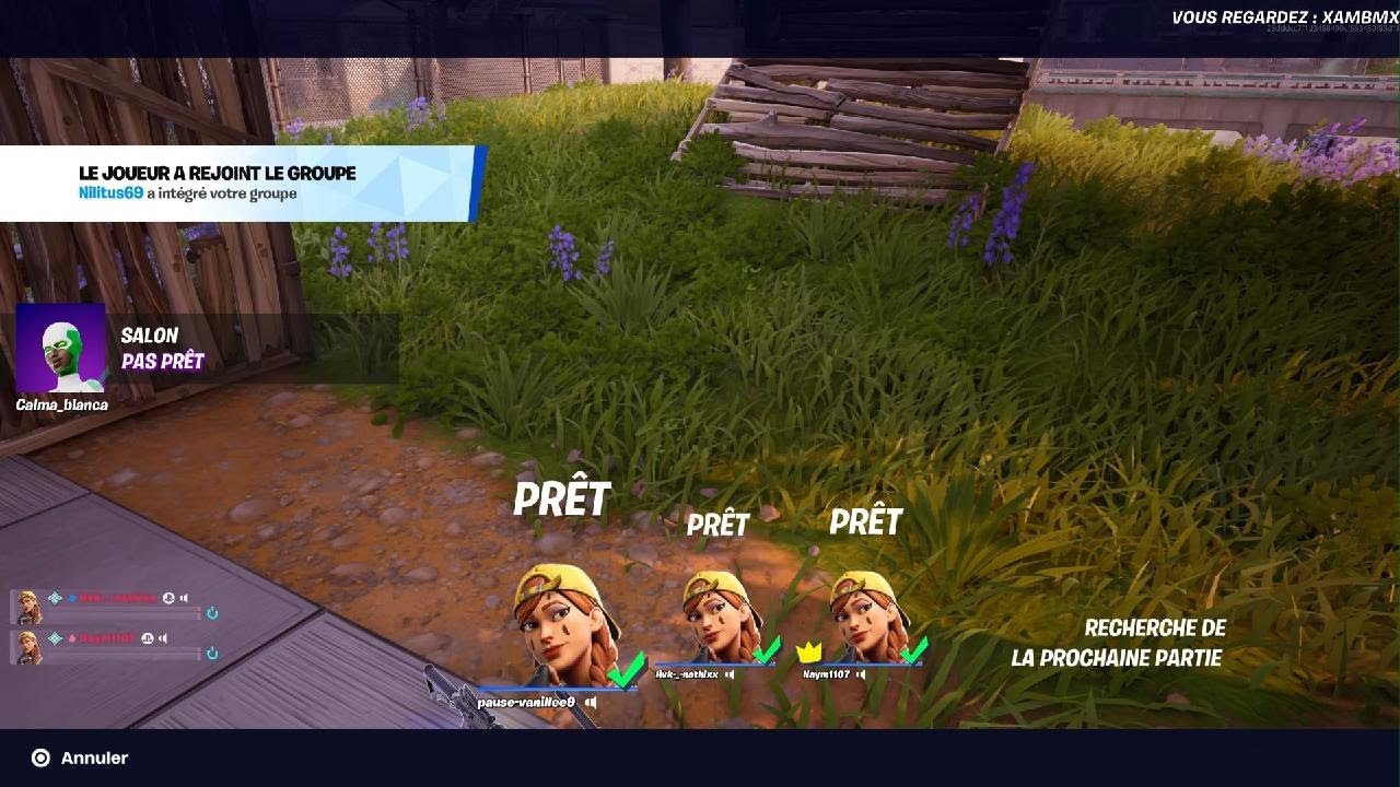 J'essaie de passer platine 1