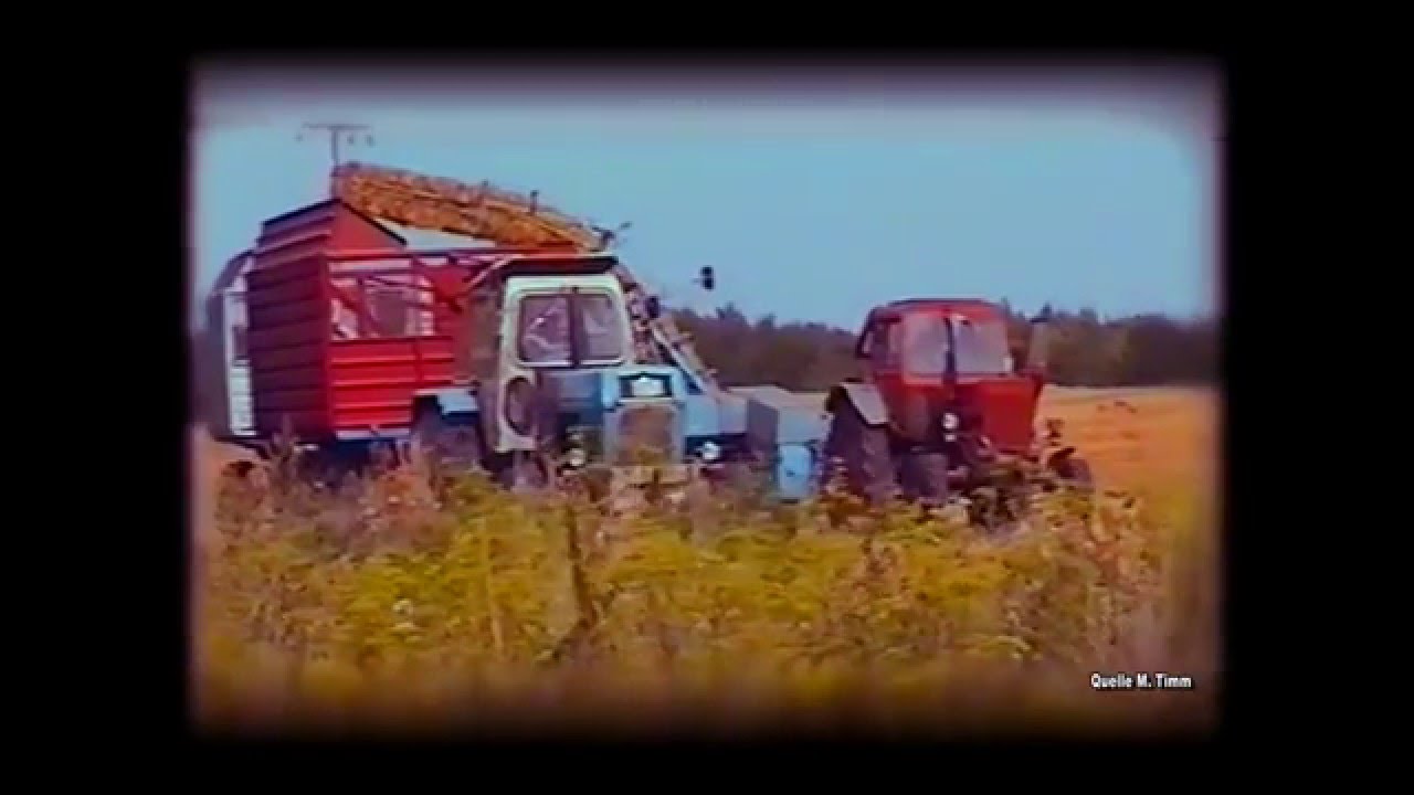 Damals in unserer LPG (P) Strohbergung! Part 4