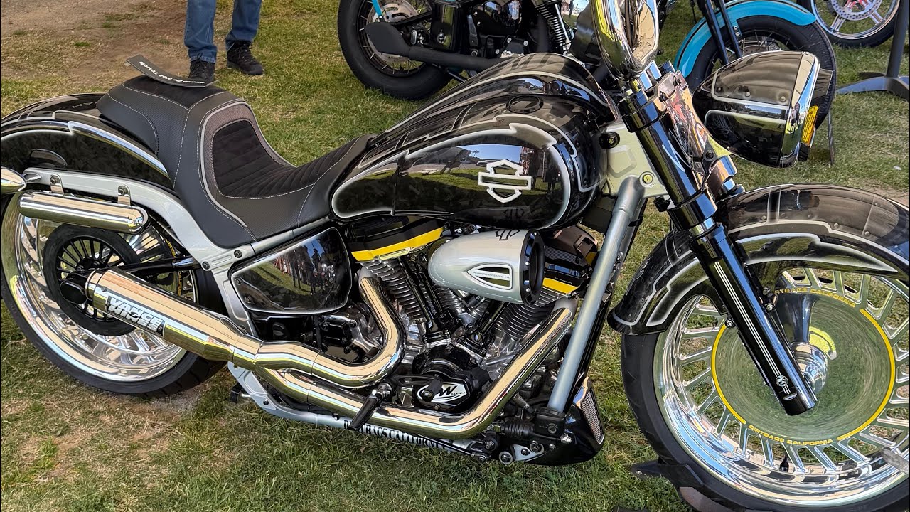 #chopper #festival Chopper Fest David Mann It didn't disappoint us! the best fest! #harleydavidson 