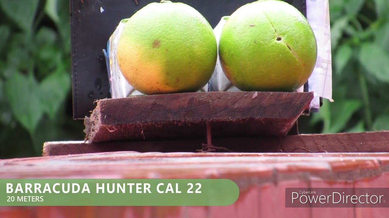 HN BARRACUDA HUNTER AND HUNTER EXTREME EXPANSION TEST