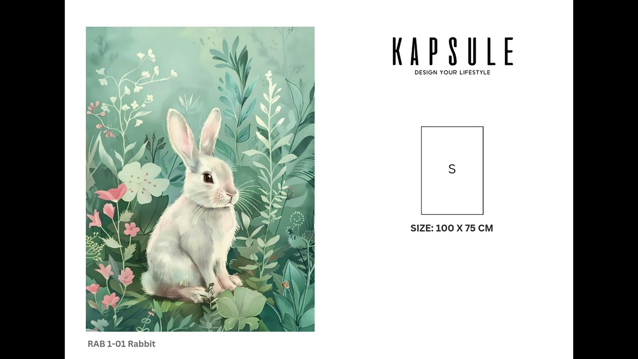 Kapsule  Acrylic Artwork Collection