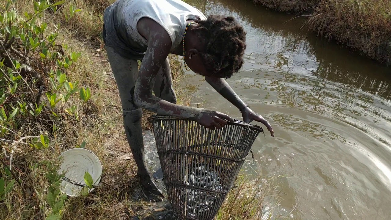 Pesca feminina em Edjaten 11