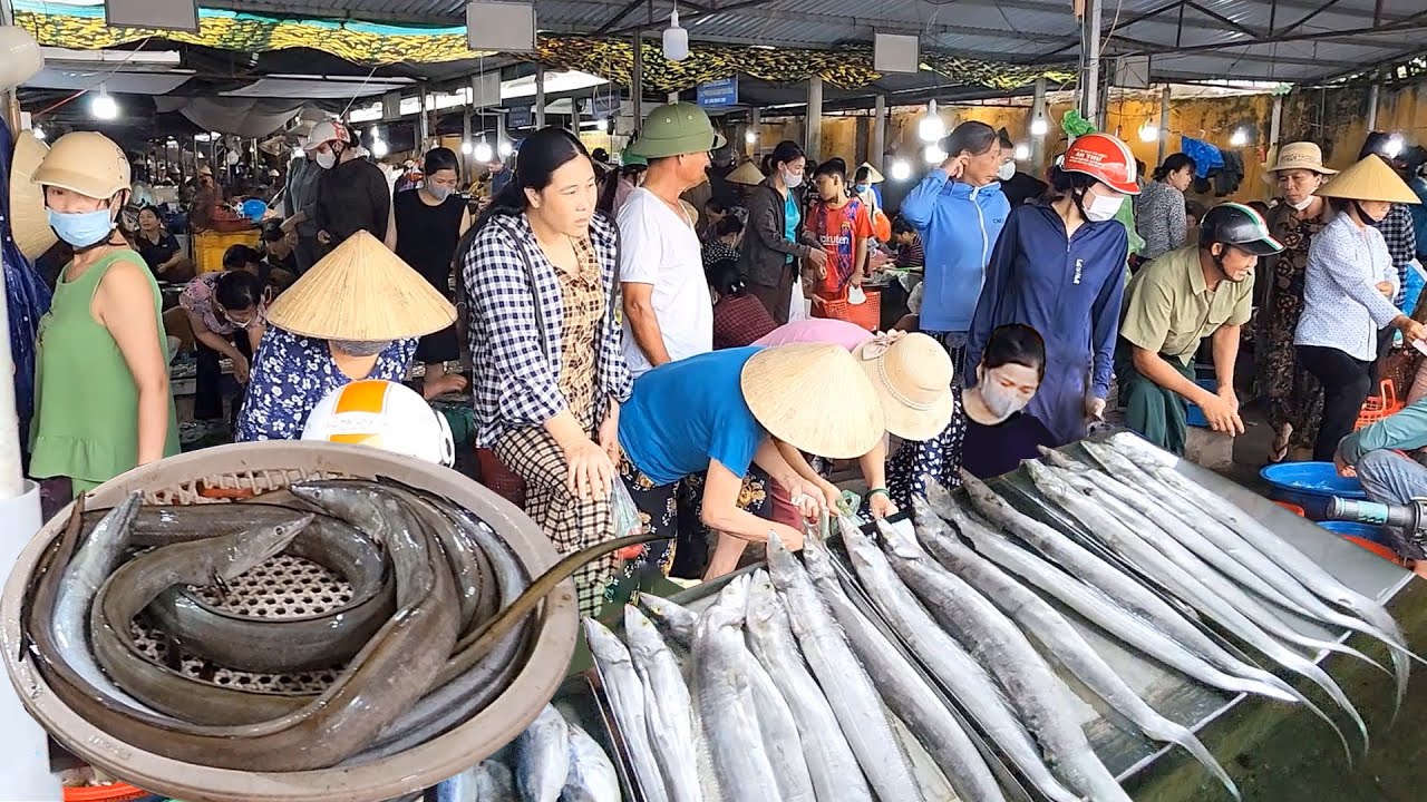 Chợ Nghè - Cồn Cao: Sản vật biển độc đáo của Hậu Lộc | LAM SƠN TV