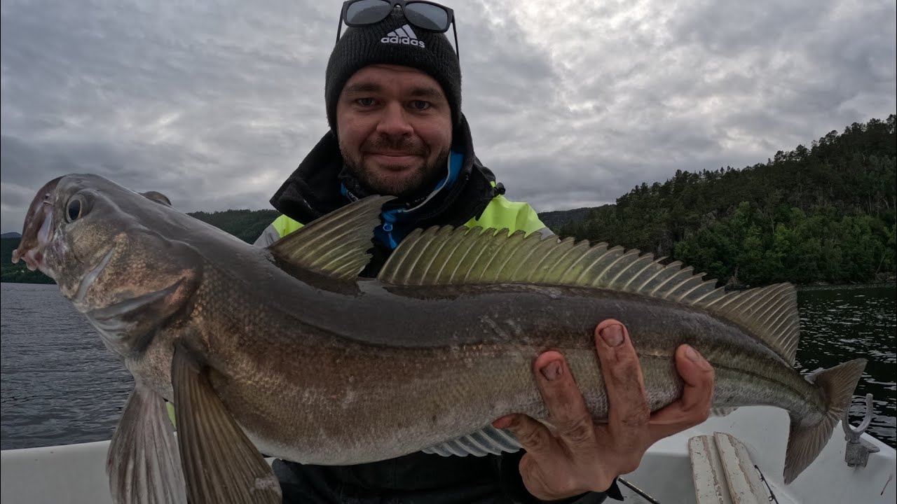 Fjordafiske: Episode 47 - «Makrellen gjorde nytten»