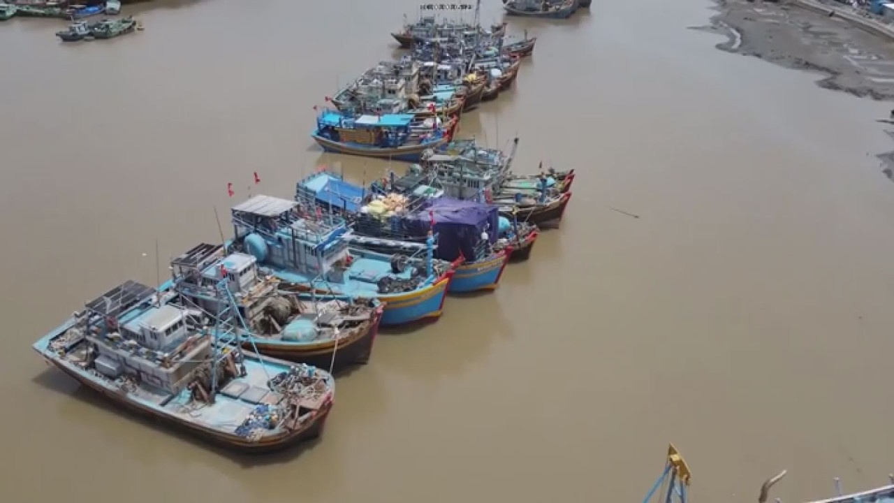 Ho Chi Minh City tightens fleet management, ready to welcome EC inspectors