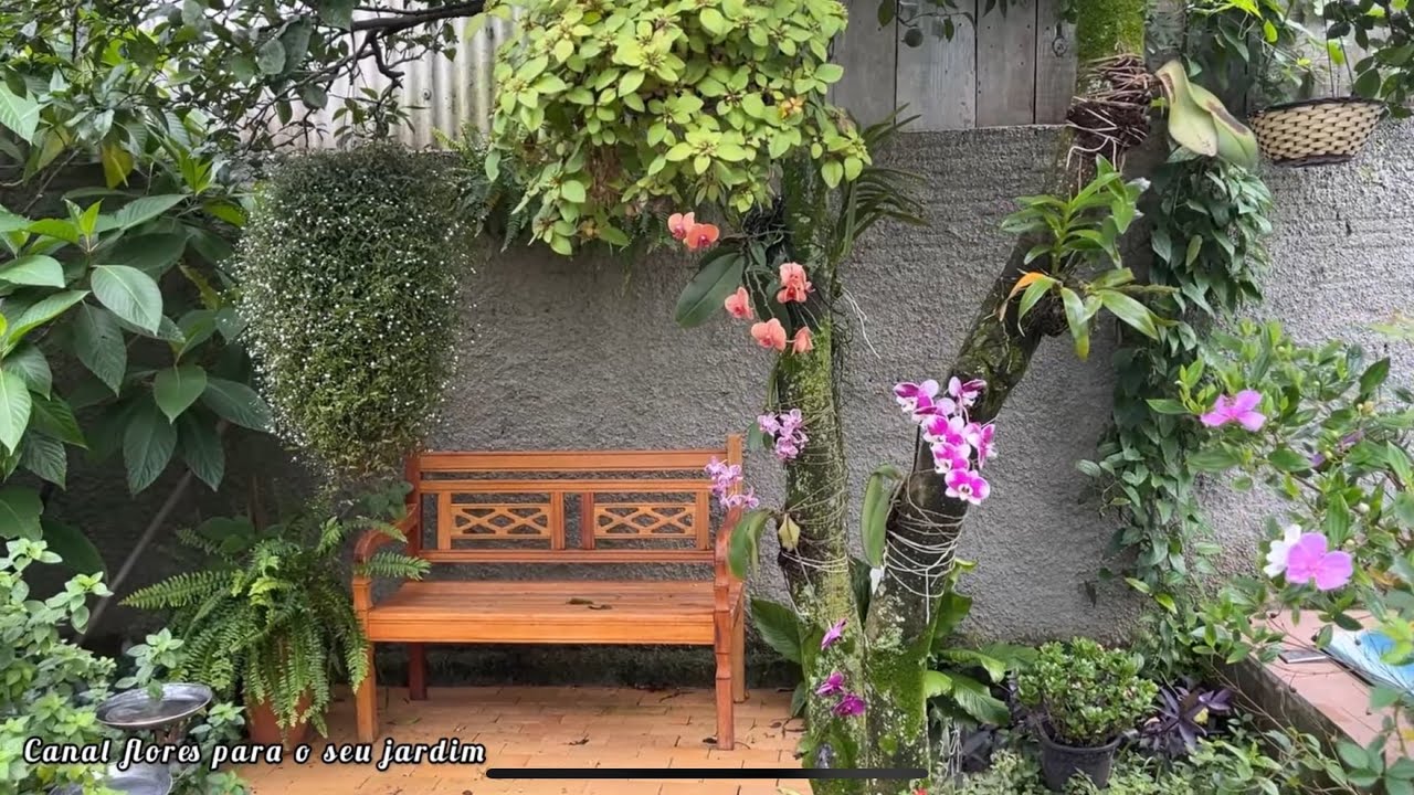 Plantei essa flor e ela não para de florescer 😍🌼